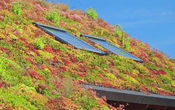 Whasset living roof systems